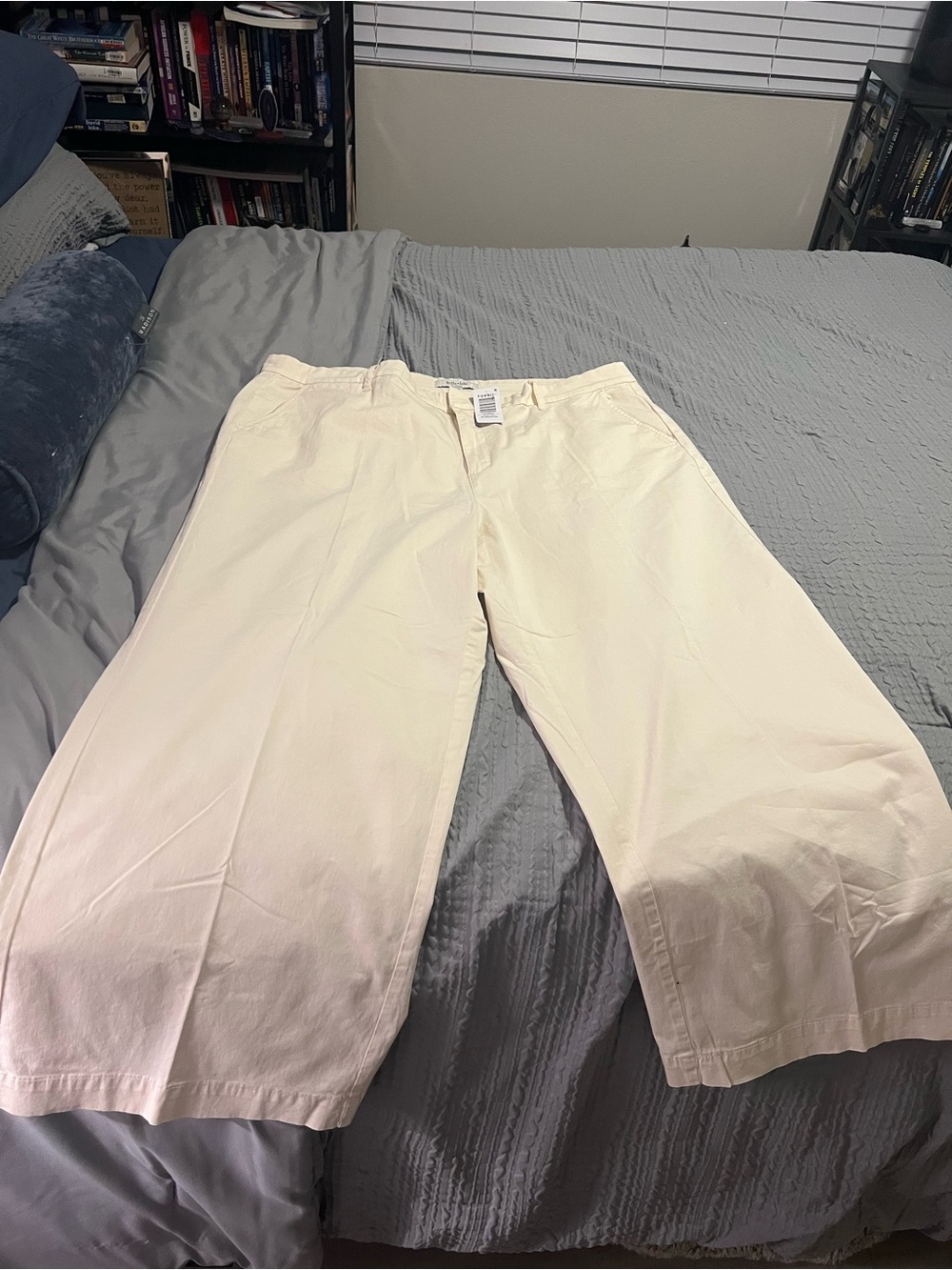 torrid Cream Chino Pants  Size 20R